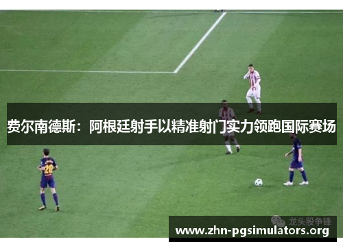 费尔南德斯:阿根廷射手以精准射门实力领跑国际赛场 费尔南德斯:阿根廷射手以精准射门实力领跑国际赛场