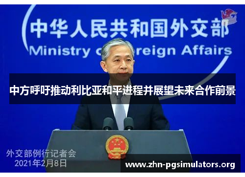 中方呼吁推动利比亚和平进程并展望未来合作前景