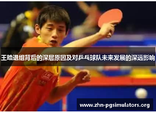 王皓退组背后的深层原因及对乒乓球队未来发展的深远影响 王皓退组背后的深层原因及对乒乓球队未来发展的深远影响